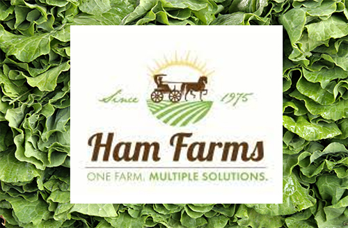 Ham Farms Logo | One Farm, Multiple Solutions